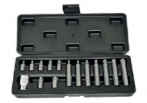 Набор  вставок  3/8"  TORX  T20-T55  972802  (БМ)  30/75мм